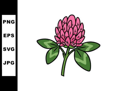 Download Clover Flower with Pink Petals and Green - Flower Collection