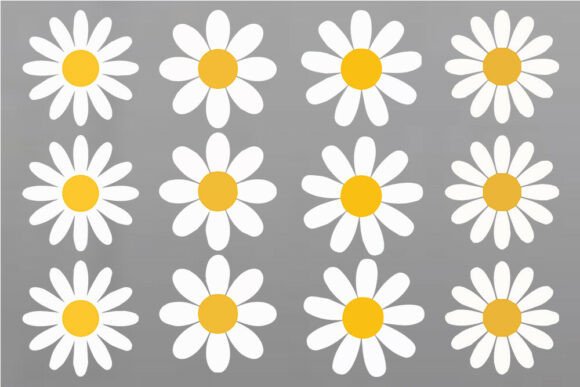 Download Daisy Flower SVG Bundle, Color Daisy SVG - Flower Collection
