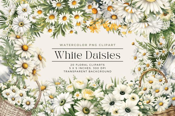 Download Watercolor White Daisies Flower Clipart - Flower Collection