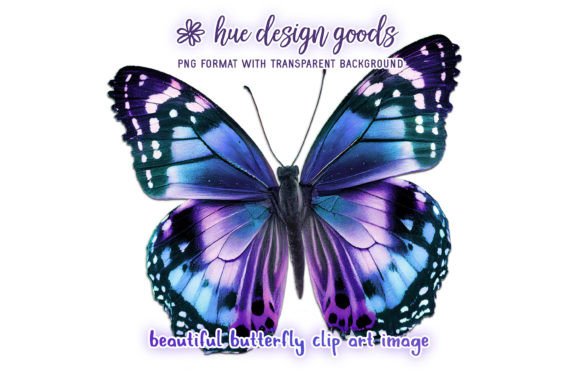 Download Beautiful Blue and Purple Butterfly - Butterfly Collection