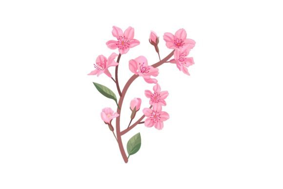 Download Flowers Petals, Cherry or Peach Tree Bra - Flower Collection