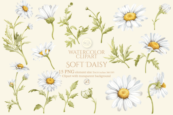 Download Soft Daisy Flower Watercolor Clipart Set - Flower Collection