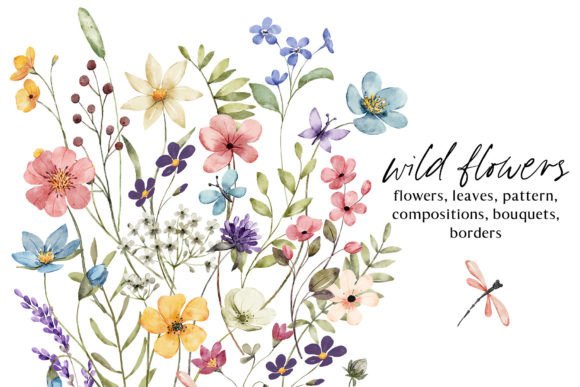 Download Wild Flowers, Butterflies and Dragonfly. - Flower Collection