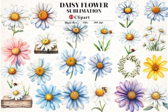 Download Daisy Flower Watercolor Cliparts - Flower Collection