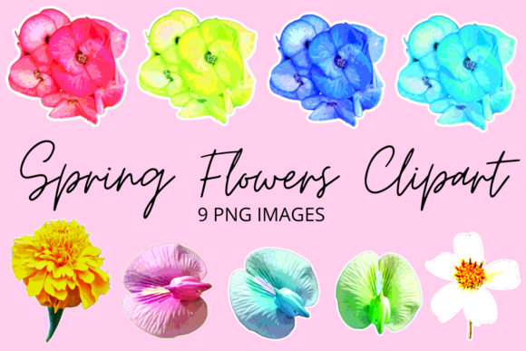 Download Colourful Spring Flowers Clipart Set - Flower Collection