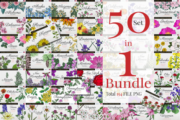 Download Bundles 50 States Flower of America - Flower Collection