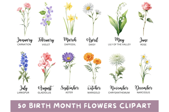Download 50 Watercolor Birth Month Flowers PNG - Flower Collection