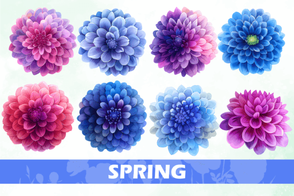 Download Flower Petals Set PNG - Flower Collection