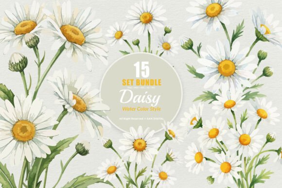 Download 15 Bundle Watercolor Daisy Flower White - Flower Collection